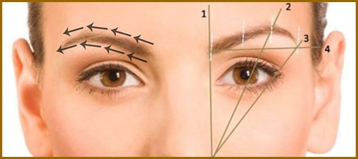 ویژگی های حائز اهمیت در کاشت ابرو کدام اند؟ ویژگی های حائز اهمیت در کاشت ابرو کدام اند؟